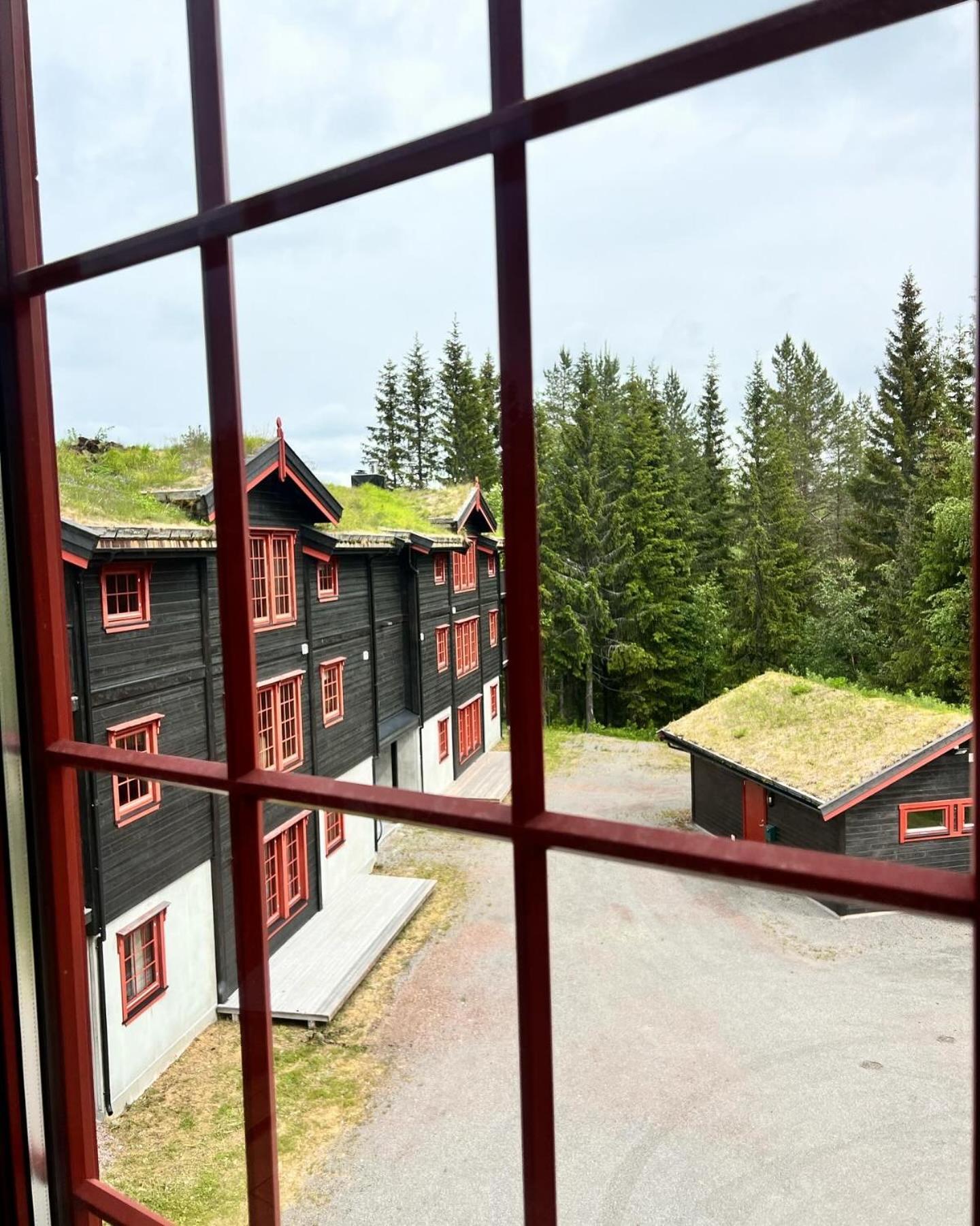 Alpingrenda-trysil Apartment *